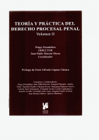 Teoría y práctica del Derecho Procesal Penal II